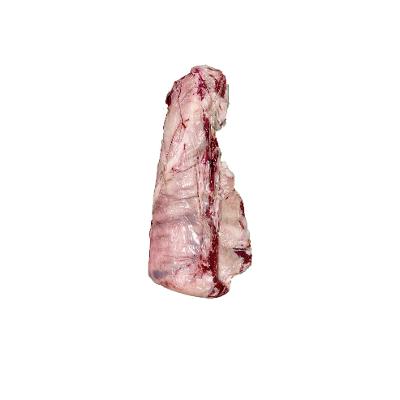 썸네일 5